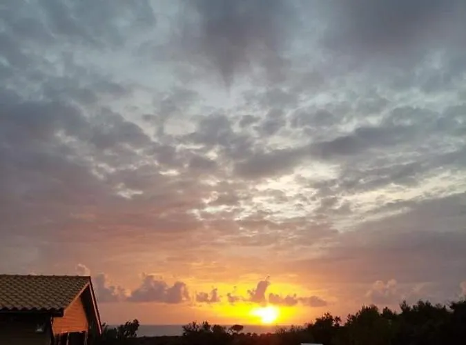 Vayianna's Garden House