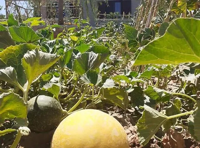 Vayianna's Garden House