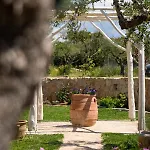 Vayianna's Garden House