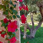 فيلة Vayianna's Garden House