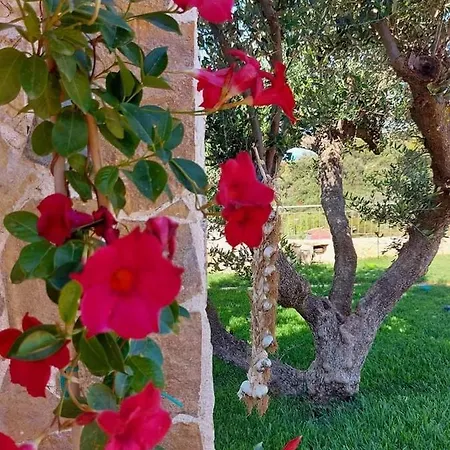 וילה Vayianna's Garden House