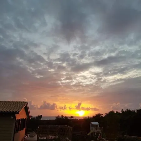 Vayianna's Garden House