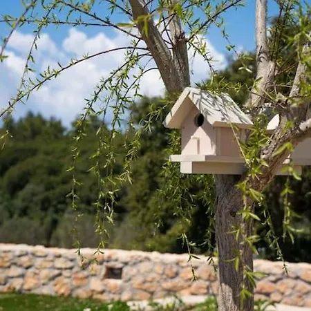 Villa Vayianna's Garden House *