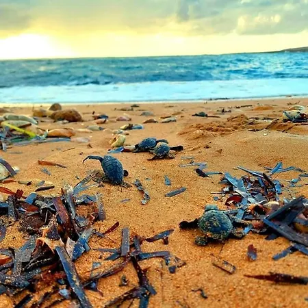 Vayianna's Garden House Villa *