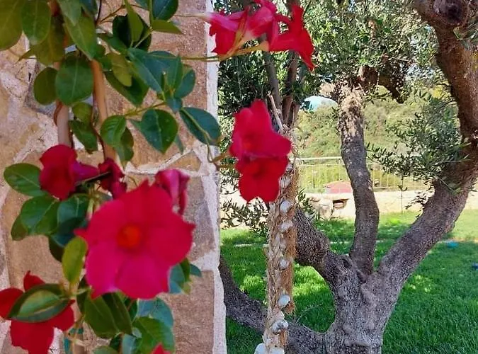 Villa Vayianna's Garden House