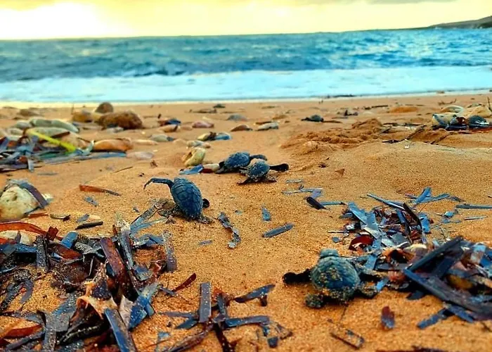 Vayianna's Garden House Villa *